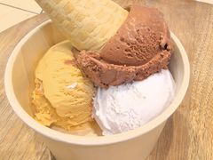 黑巧克力冰淇淋-LUNEURS月乐诗 冰淇淋咖啡(环贸店)