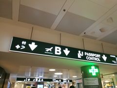 -米兰马尔彭萨国际机场