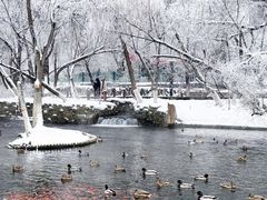 -水磨沟公园