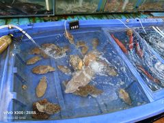 -蓝湾碧波·老字号·疍家非遗海上餐厅