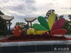 -金鸡山公园