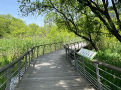 -西湖风景区-江洋畈生态公园
