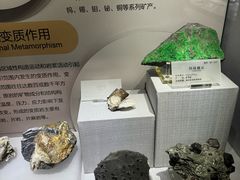 -湖南省地质博物馆