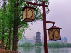-洋湖国家湿地公园