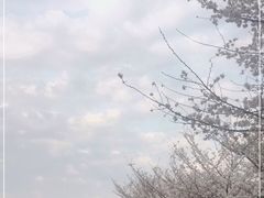-堤角公园