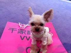 -千家粗粮王(MOMOPARK店)