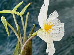 -丽江泸沽湖景区