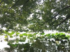 -东湖落雁景区