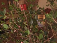 -弄堂里(西溪龙湖天街店)