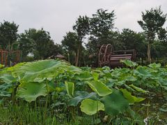 -武汉紫薇都市田园