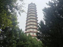 -西禅古寺售票处