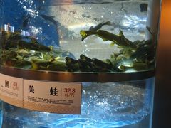-老船舫·现做活鲜鱼馆(东郊记忆店)