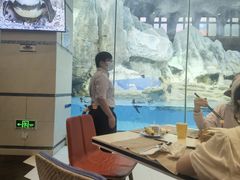 -帝企鹅自助餐厅•儿童岛•真企鹅(长隆企鹅酒店)