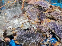 -盒马鲜生(馥邦国际店)