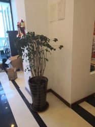 -碧玺沙灸美容美体养生馆