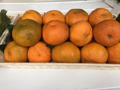 王家渡火锅店(棕榈泉店)-王家渡火锅店(棕榈泉店)