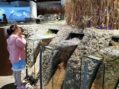 -上海长江河口科技馆