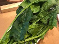 菠菜-湯系·煲汤手艺人(东二环泰禾广场店)