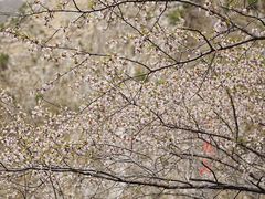 -圣莲山风景区