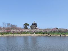 -上海海湾国家森林公园