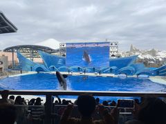 -上海海昌海洋公园
