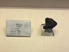 -辽宁古生物博物馆