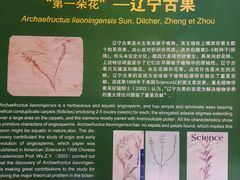 -辽宁古生物博物馆