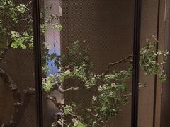 -海立阁海鲜江浙菜(漕河泾印象城店)