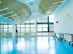 -西安小天鹅艺术团(曲江Alice店)