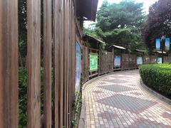 -黄村公园