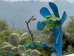 -南山植物园