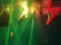 -芜湖新华联大白鲸海洋公园