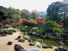 -醍醐寺