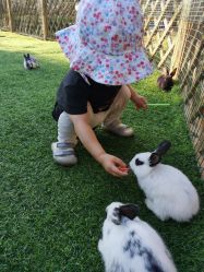 -萌宠亲子动物乐园(槐房万达店)