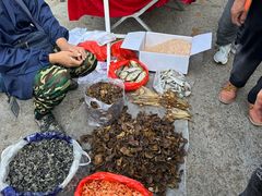 -李村大集