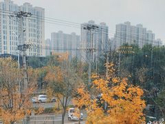 -必胜客(广渠路店)