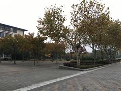-东华大学(松江校区)