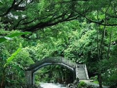 -广州市石门国家森林公园