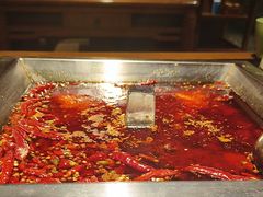 -蜀江龙火锅(339店)
