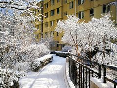 -大连市游泳馆-地面停车场