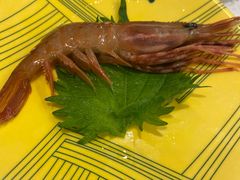 -京樽回転寿司(奥林匹克店)