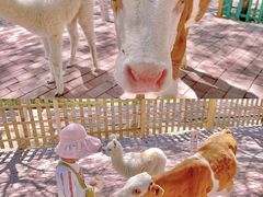 -水上乐园·欢乐世界