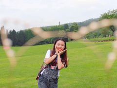 -武陵山森林公园