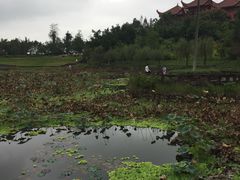 -涞滩古镇