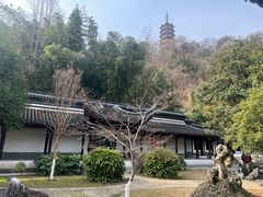 -焦山风景区
