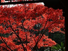 -杭州半山国家森林公园