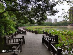 -金山公园