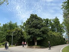 -洋湖国家湿地公园