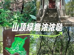 -上海佘山国家森林公园天马山园