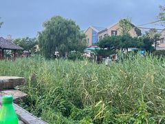 -晶渔坊·海鲜私房菜(东夷小镇店)